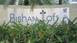 Bishan Loft (D20), Condominium #70100061